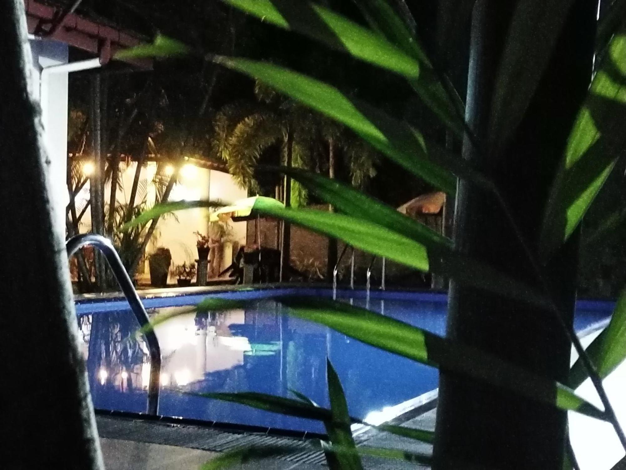 Blue Bell Hotel Негомбо Экстерьер фото